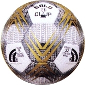 Practice Balls