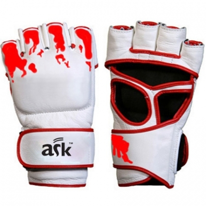 MMA Gloves